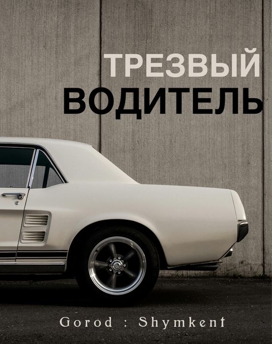 Трезвый Водитель