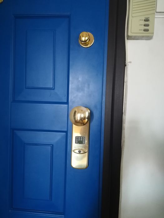 Vand Ușa intrare casa/apartament