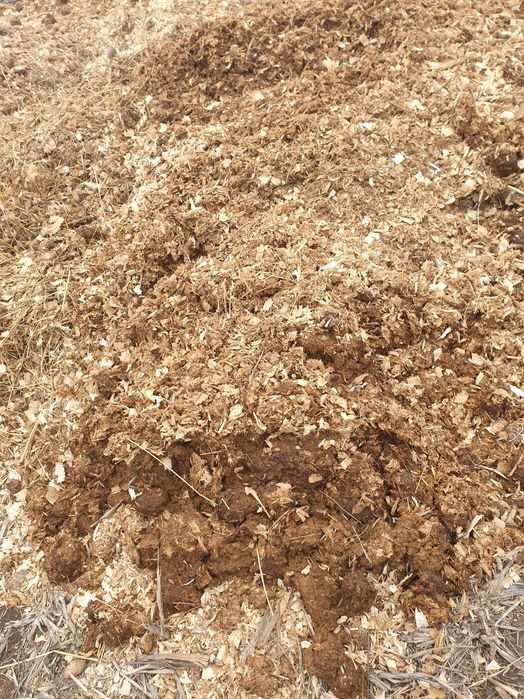 Gunoi de grajd balegar de cai cu rumegus ingrasamant natural