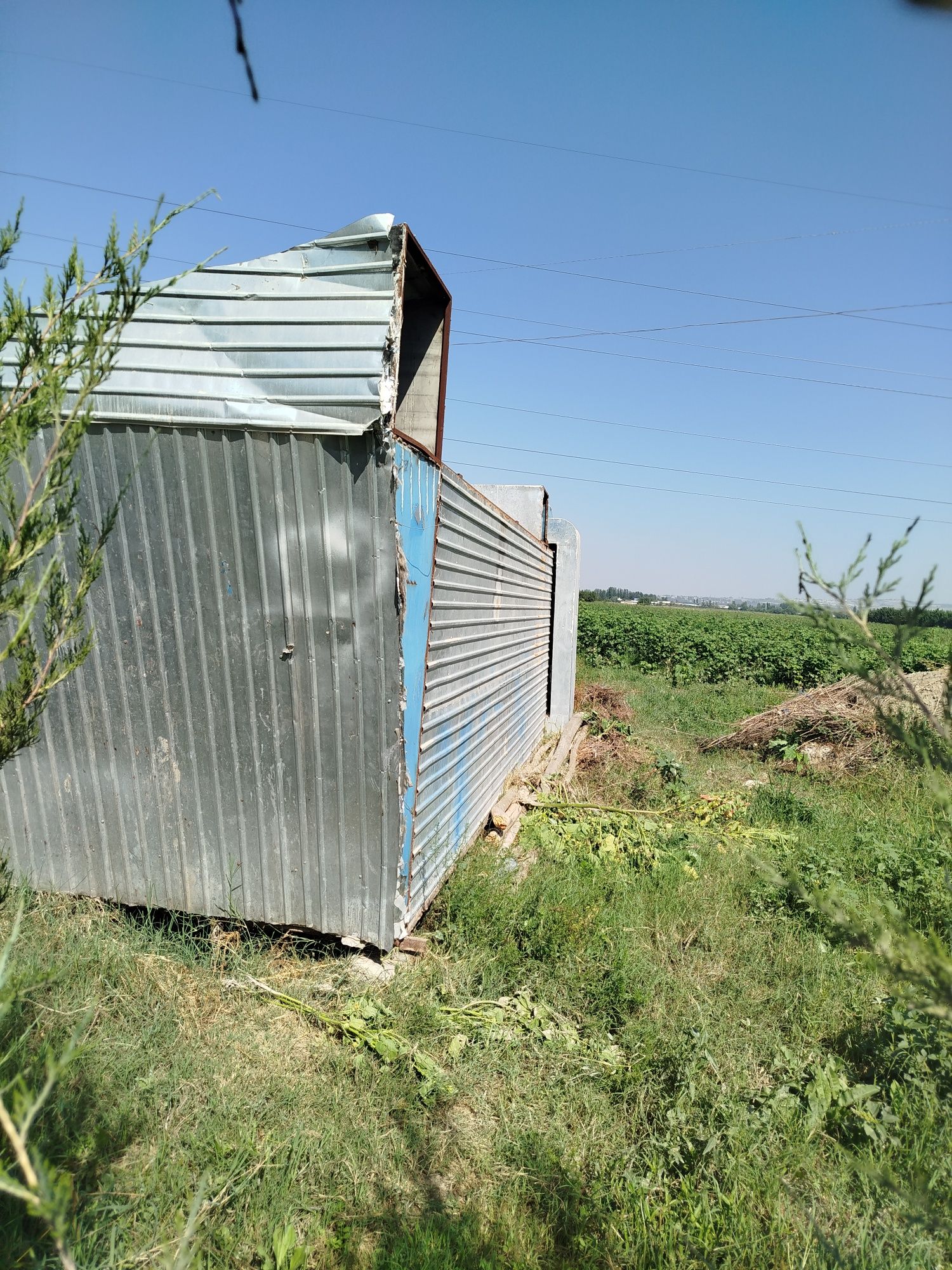 Shushulka. Meva quritish
