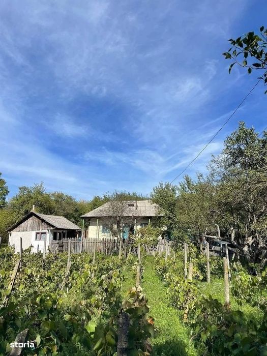 De vanzare casa batraneasca,Teren 2600 mp,Pret 13.000 euro