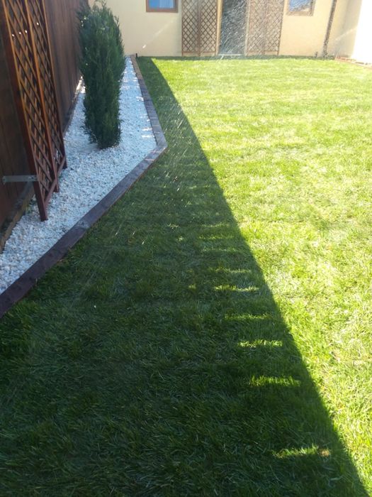 Gazon Rulou și plante Decorative