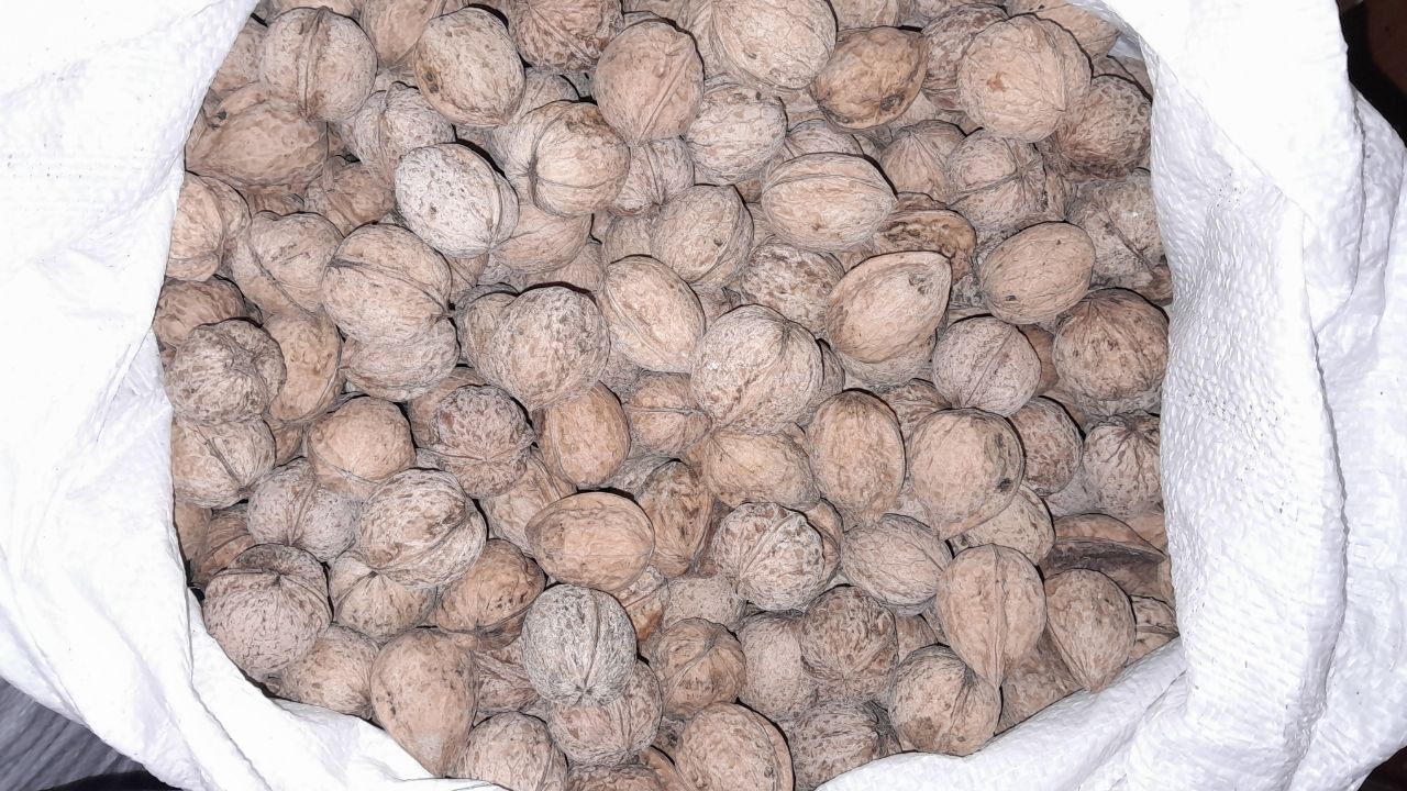 Продаются орехи 20 мешков  Engoq sotiladi 20 qop