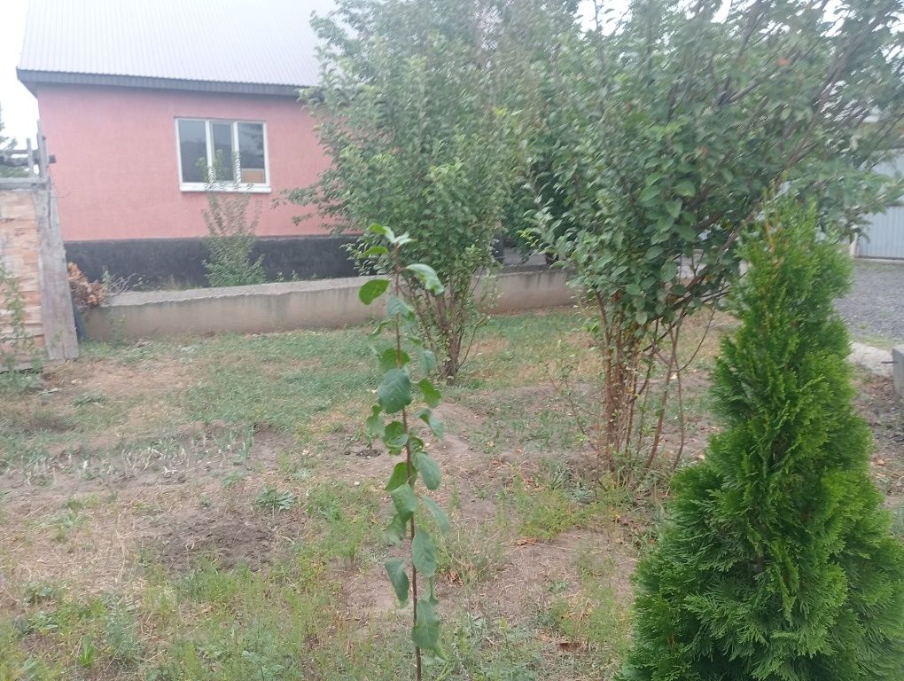 Продам дом 5 комната размер 9 10