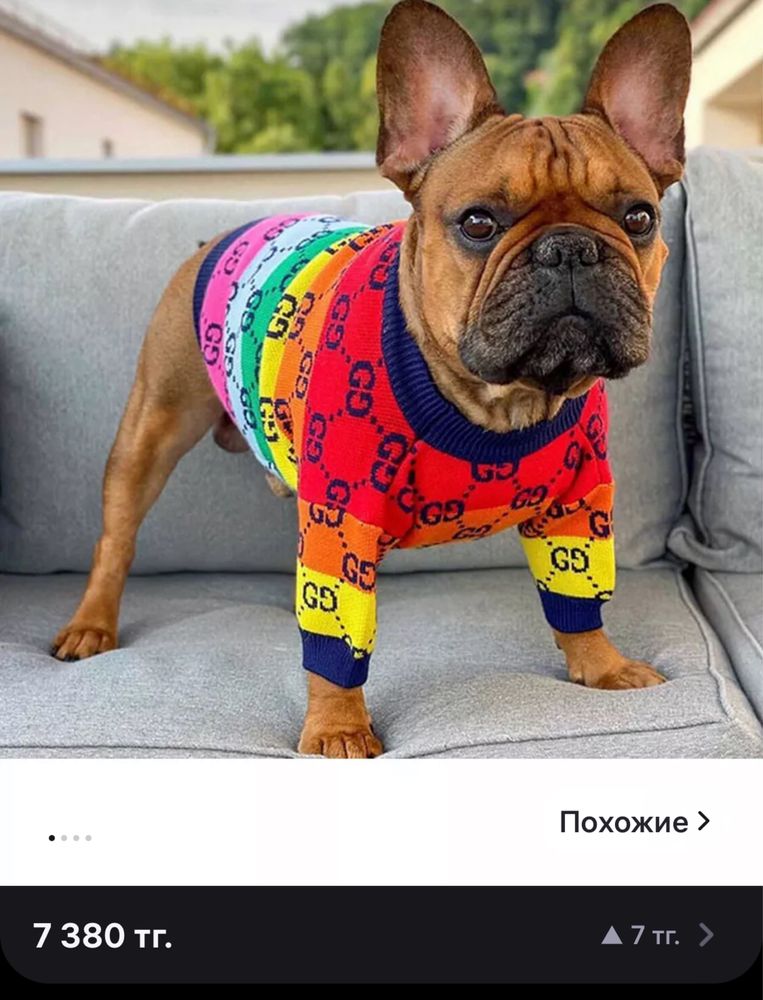 Одежда для собак