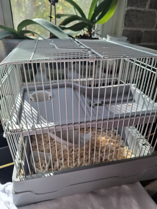 Клетка для хомяка