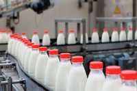 Датеры и маркираторы для молочной продукции