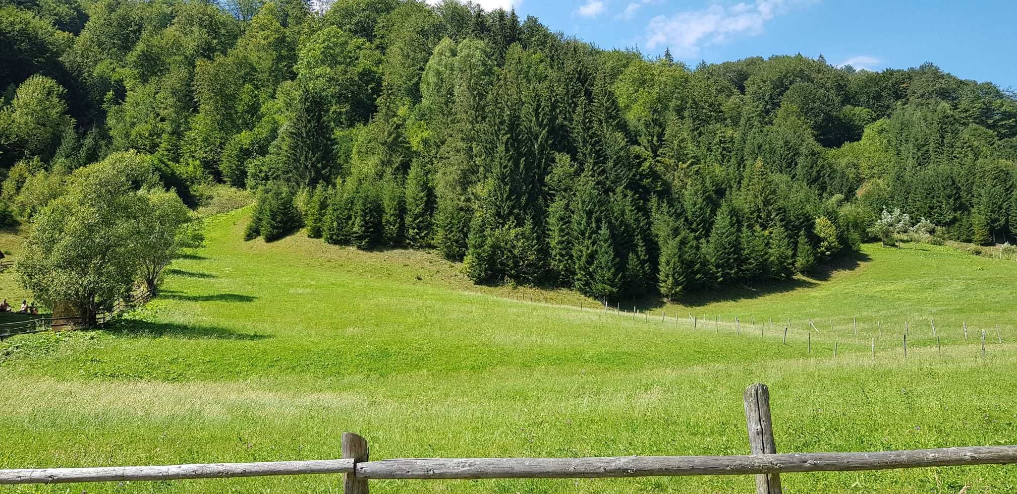 Parcele Teren comuna Rucăr, zona Râușor