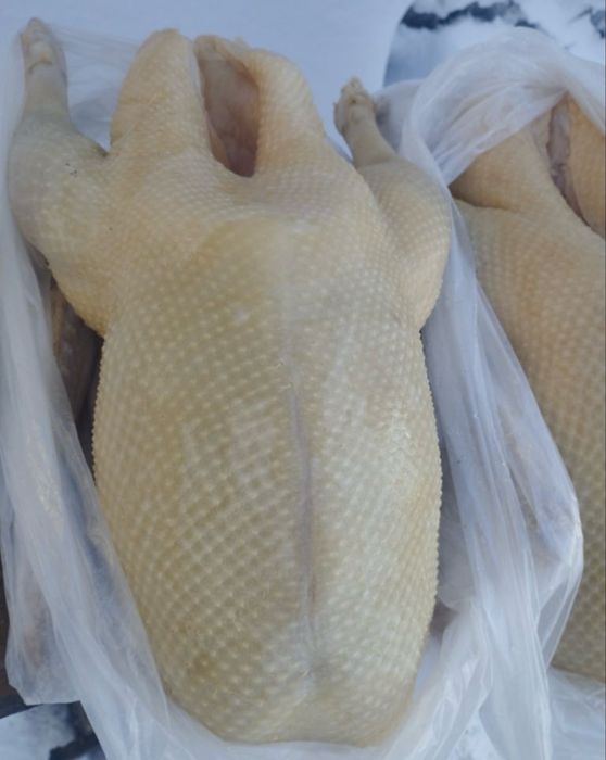 Продам мясо гуся