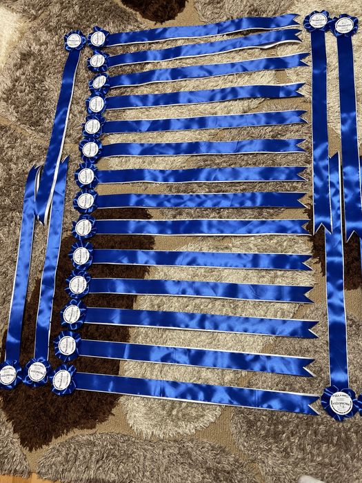 Panglici/ cocarde clasa a 4 a si a 8 a