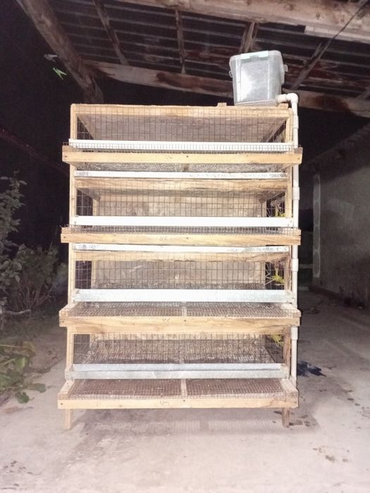 Клетка для перепелов