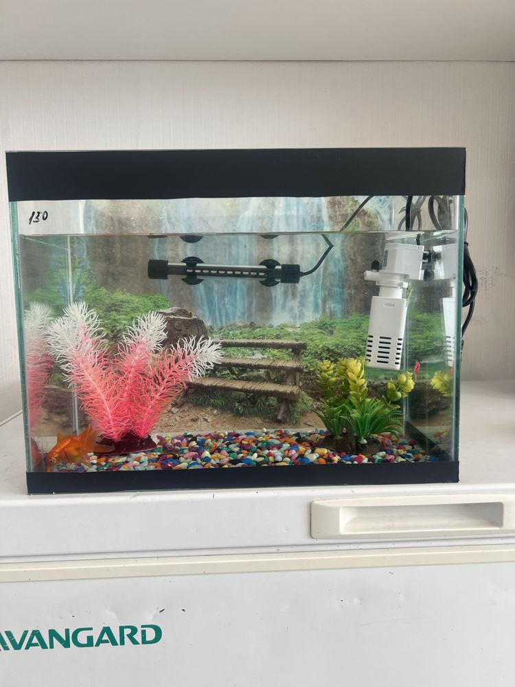 Akvarium hamma jihozlari bilan sotiladi