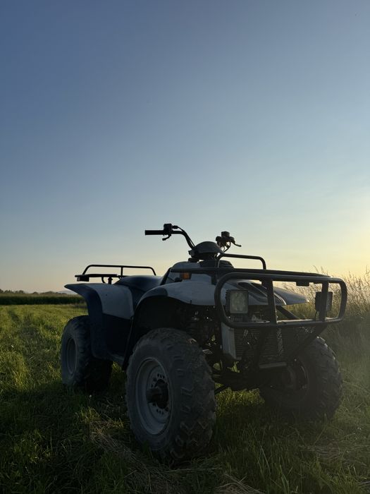 vand atv linhai 300