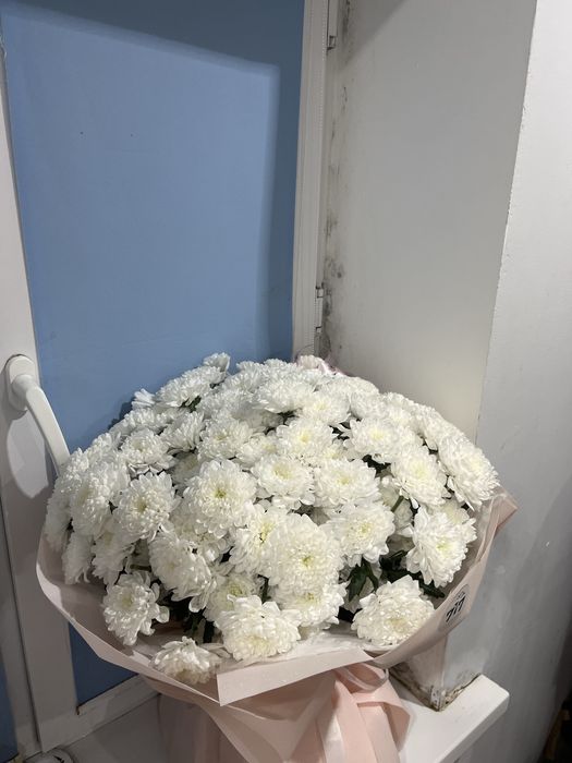 Цветы хризантема