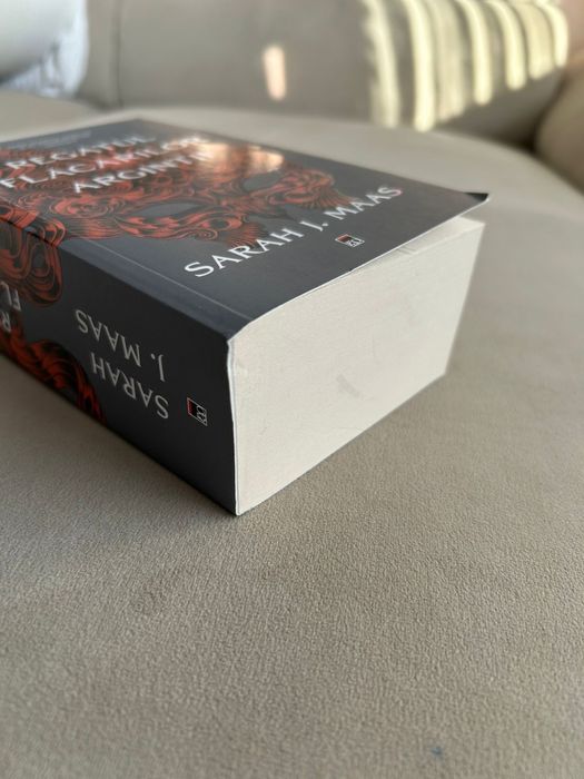 Regatul flacarilor argintii