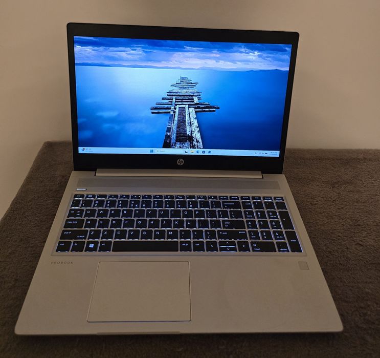 HP ProBook 455 G7, Ryzen 7 4700u, 24GB DDR4, SSD