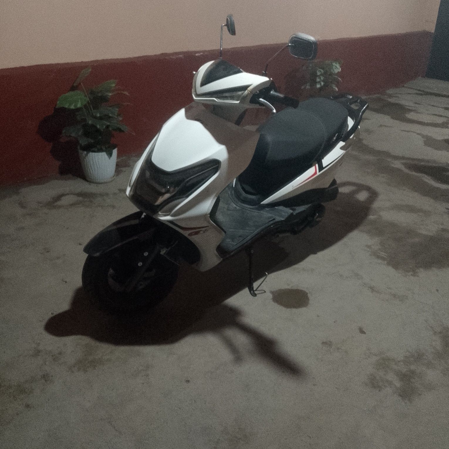 Angel x4 gst mator