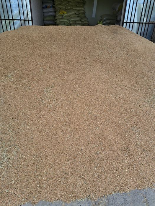 Toza bug'doy sotiladi!