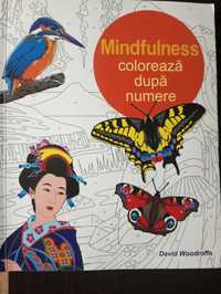 Mindfulness, Coloreaza dupa numere,set de creioane colorate
