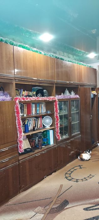 Стенка в зал 4 секции