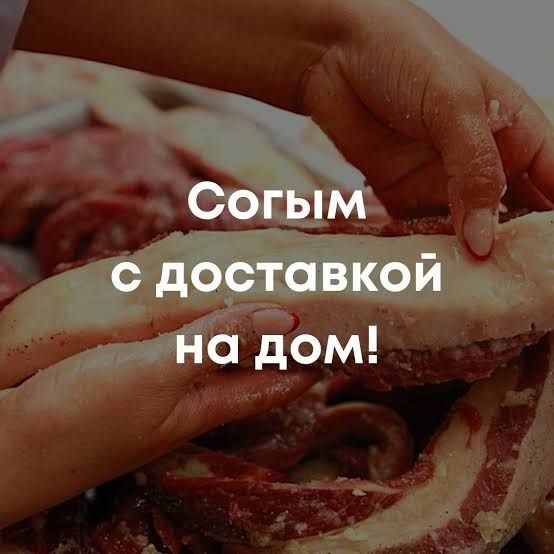 Соғым жылқы еті ( мясо конина)