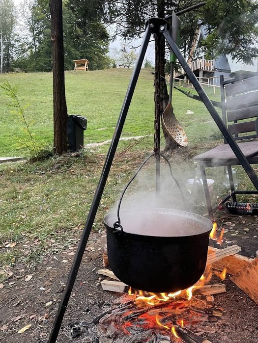 Cabane la marginea pădurii