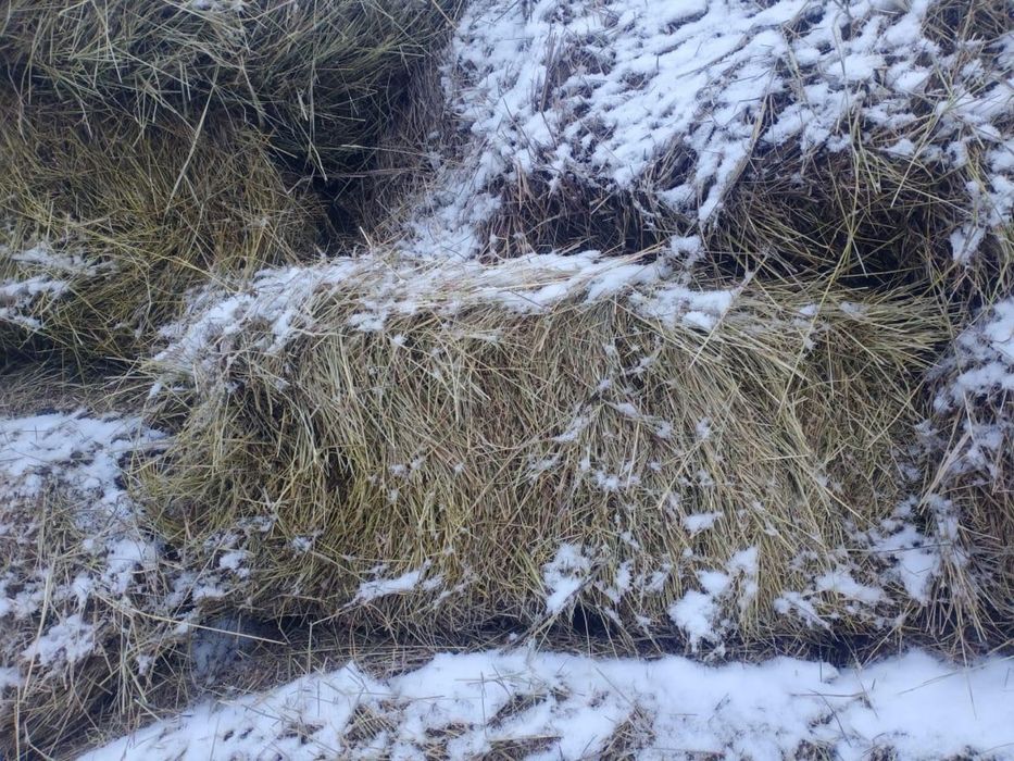 Сено отличного качества