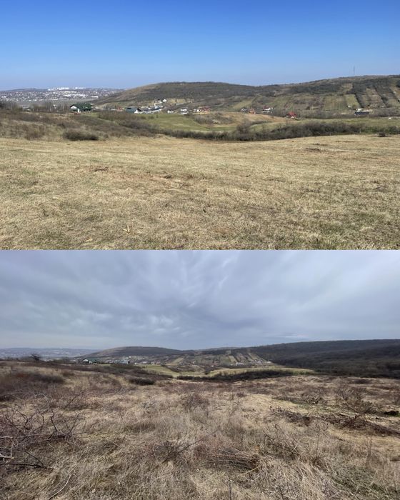 Defrisare, curatare teren, tocare forestiera