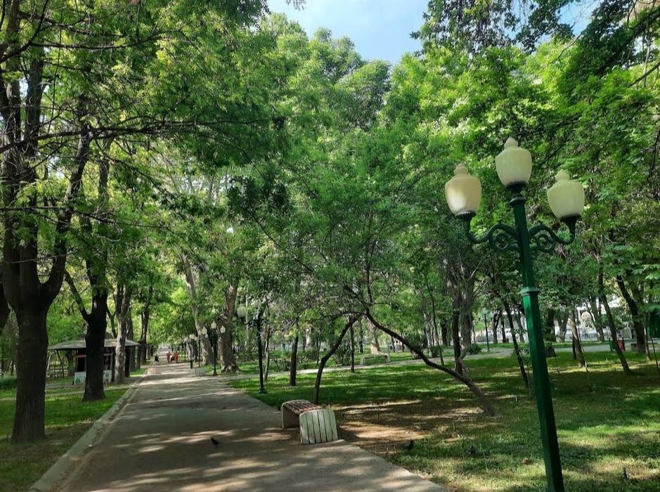 Продается 3/3/4 Ц7 / Цум ор Сенат