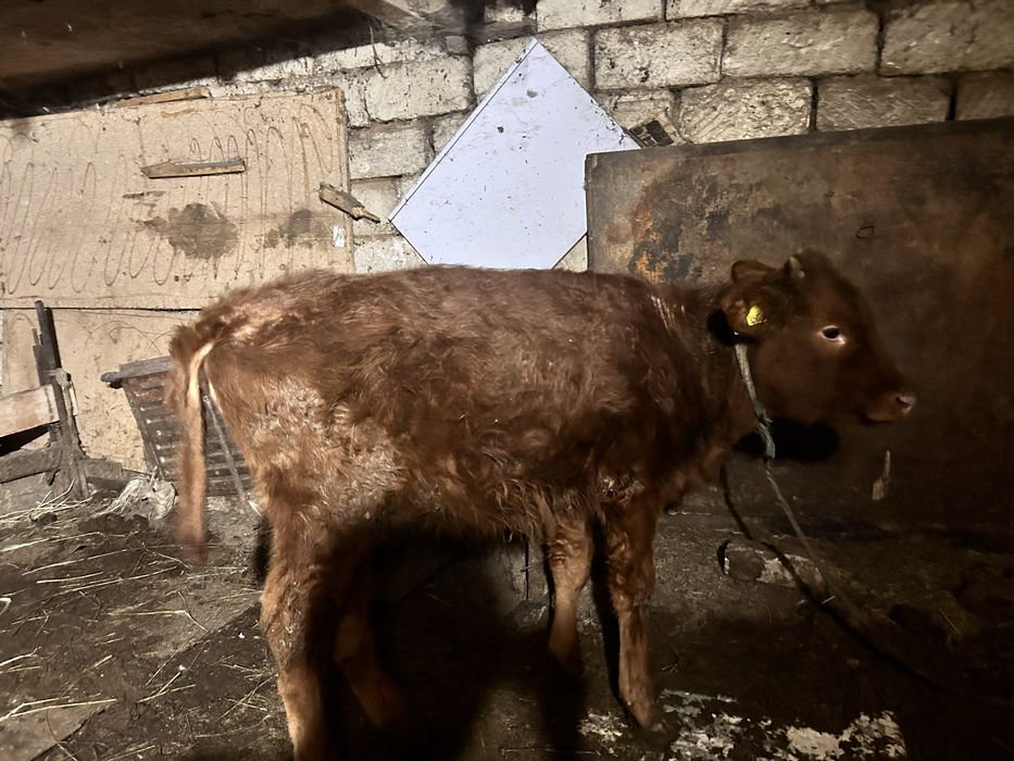 Сатылады актобе баспак