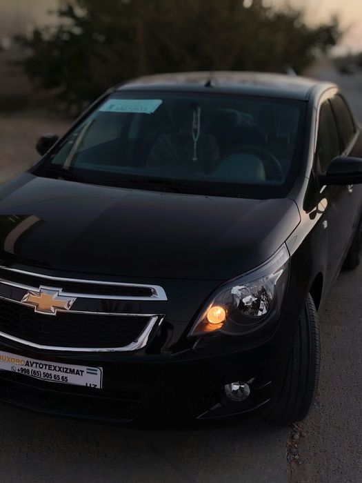 Kobalt midnayt schot spravka maslaaa