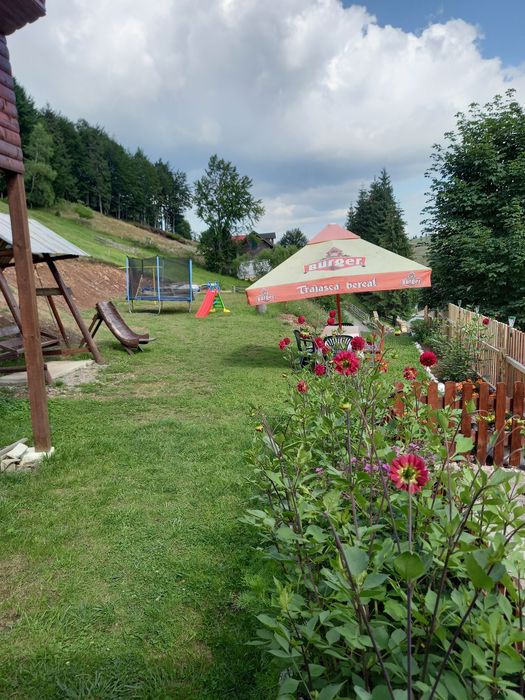 Cazare Arieseni -Apuseni-Cabana Andreea