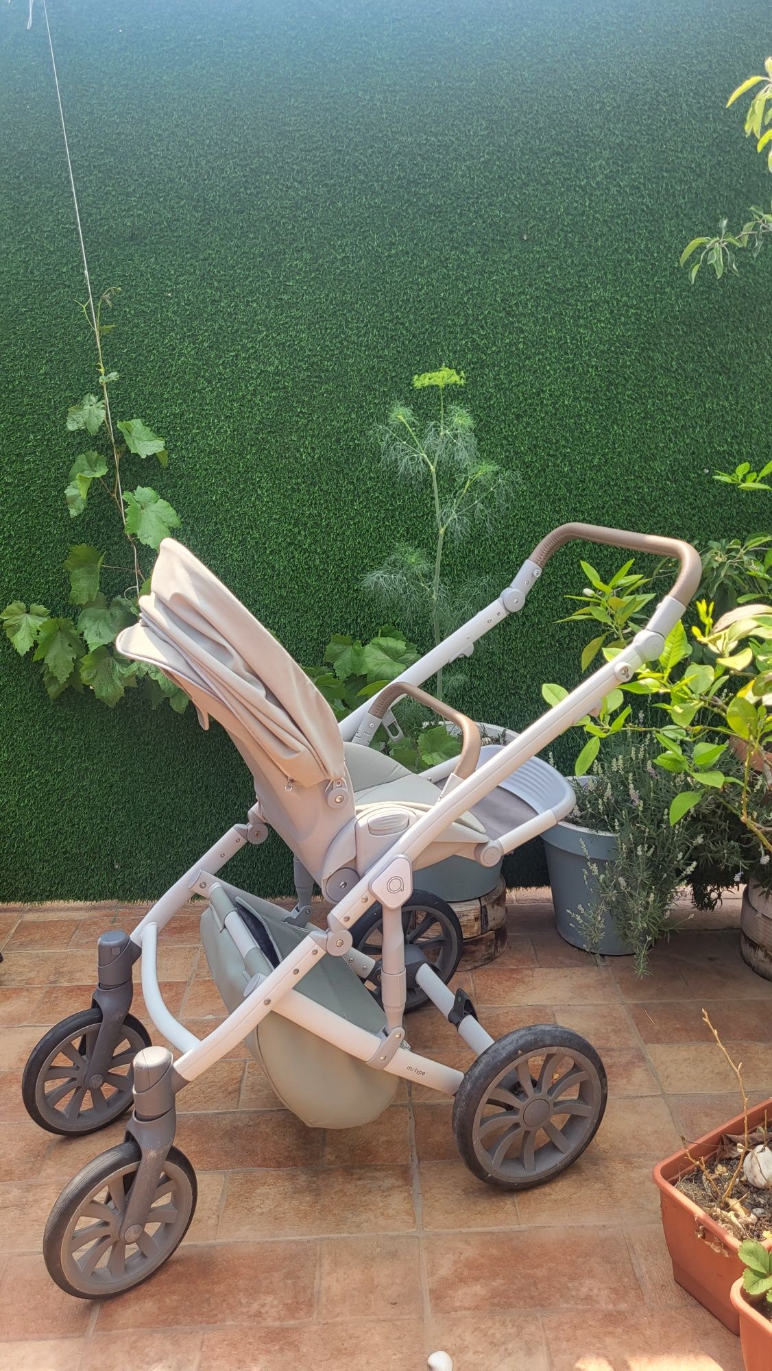 Anex M type mint