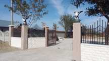 Vultur din beton/ornamente stalpi gard