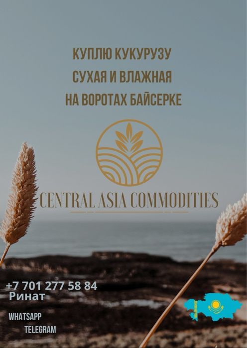 Принмаю кукурузу сухую влажную на воротах Байсерке