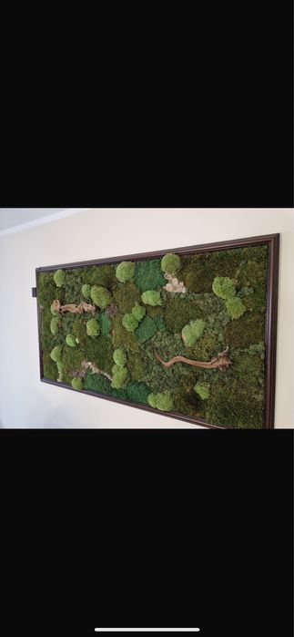 Tablou licheni si muschi naturali