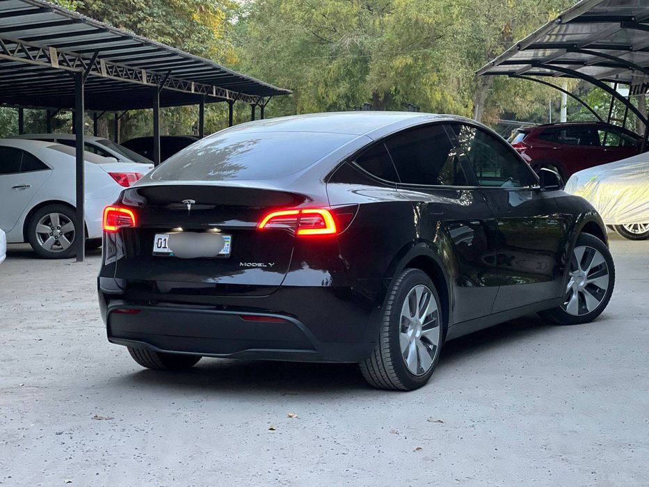 Tesla Model Y Dual Motor