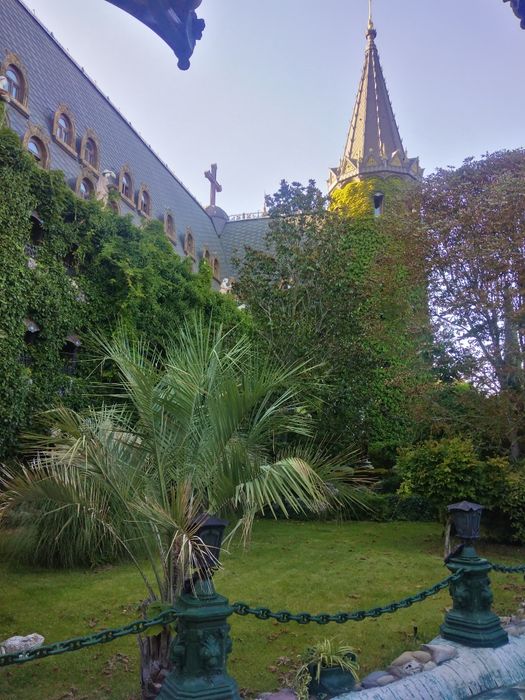 Косене и Почистване на Дворове Вили