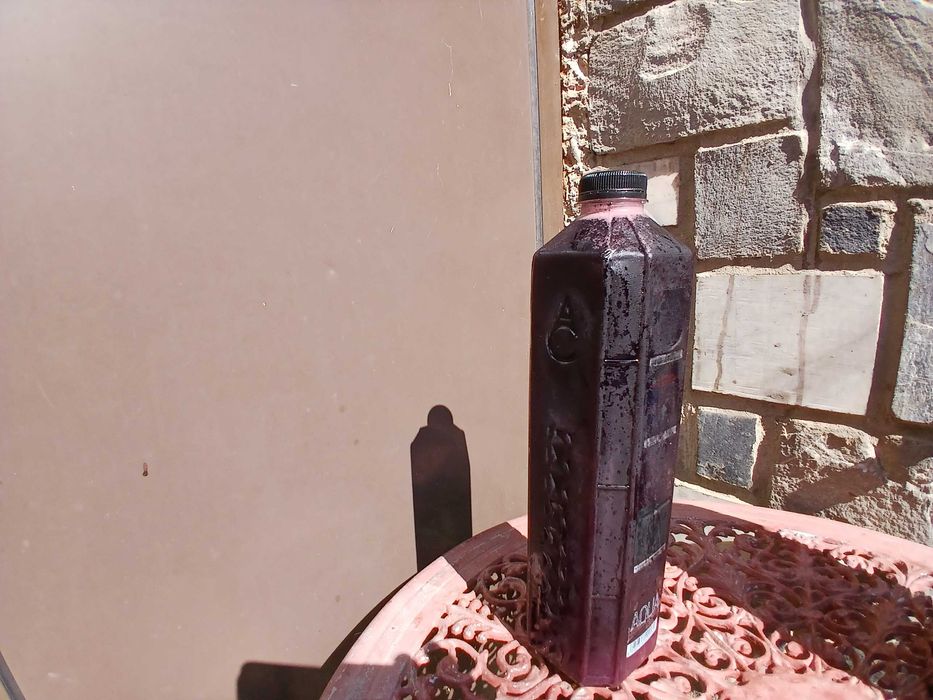 Must Proaspat 10 lei/L