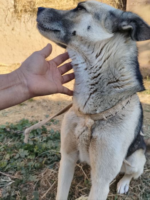 Мальчишка ищет новую семью!