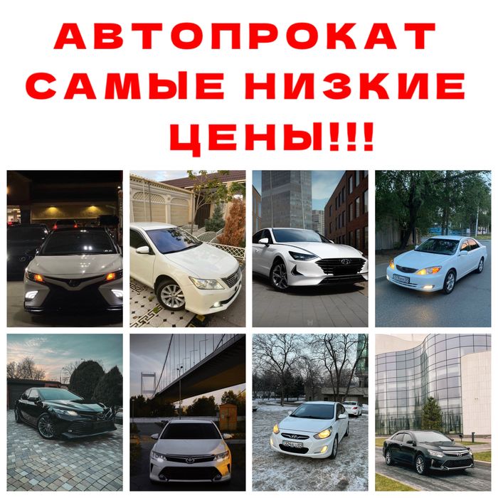 Прокат автомобилей, Прокат машин, Прокат авто