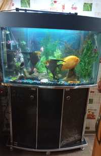 Продам красивый аквариум