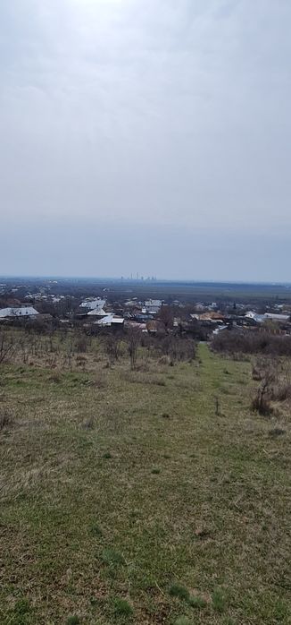 Vand Teren Viticol intravilan/extravilan 3,5 Ha