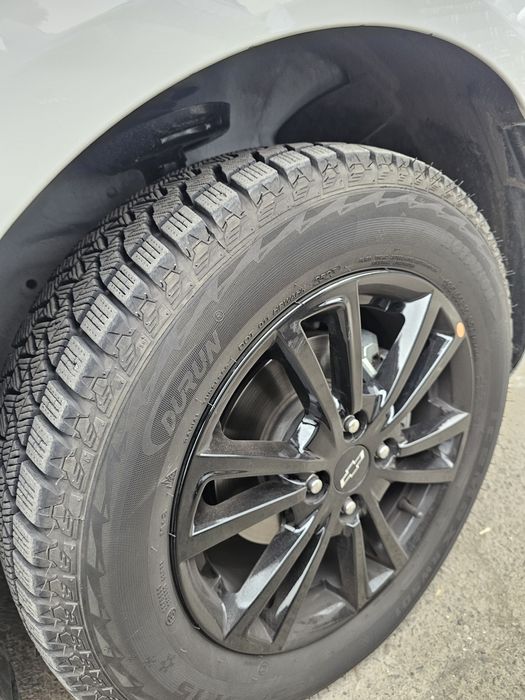 Cobalt midnight 2025