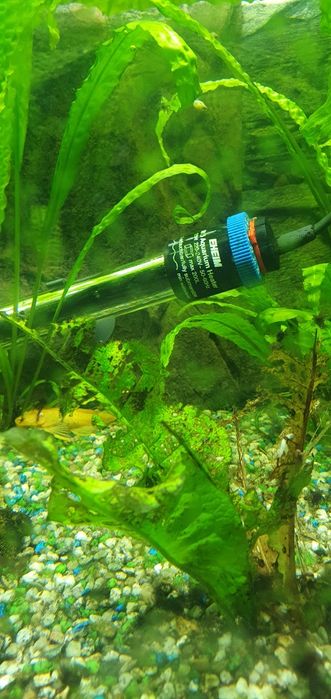 Vand acvariu 250 litri complt