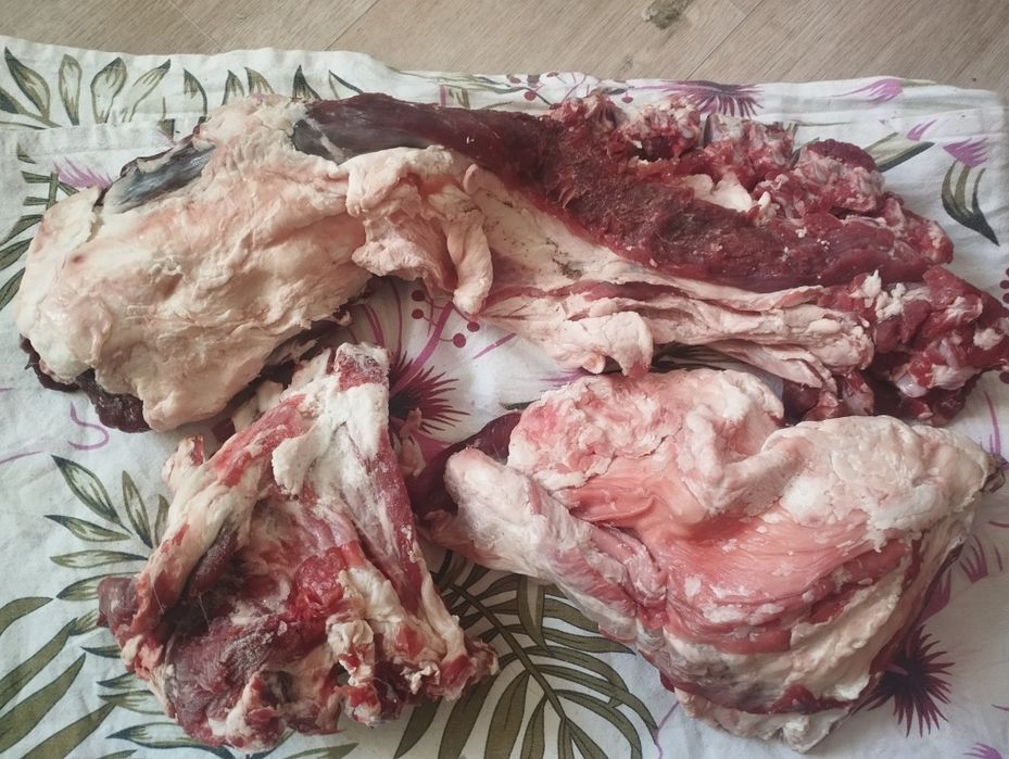 Тоқты етін сатамын тиімді бағада