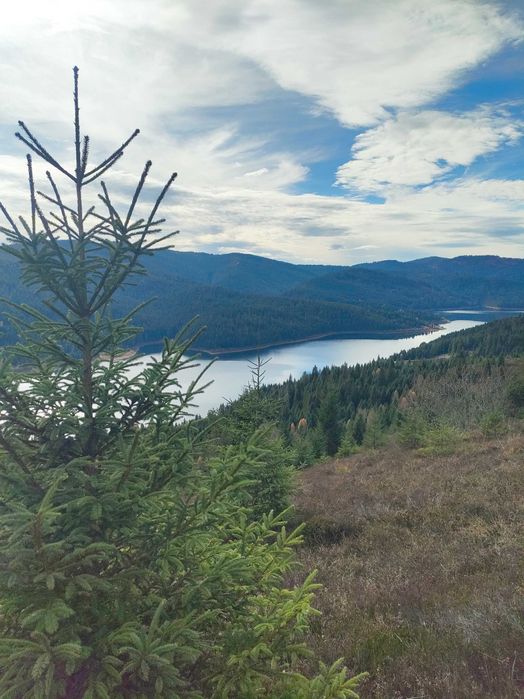 Revelion 2026 panoramic Râșca de Sus - Beliș