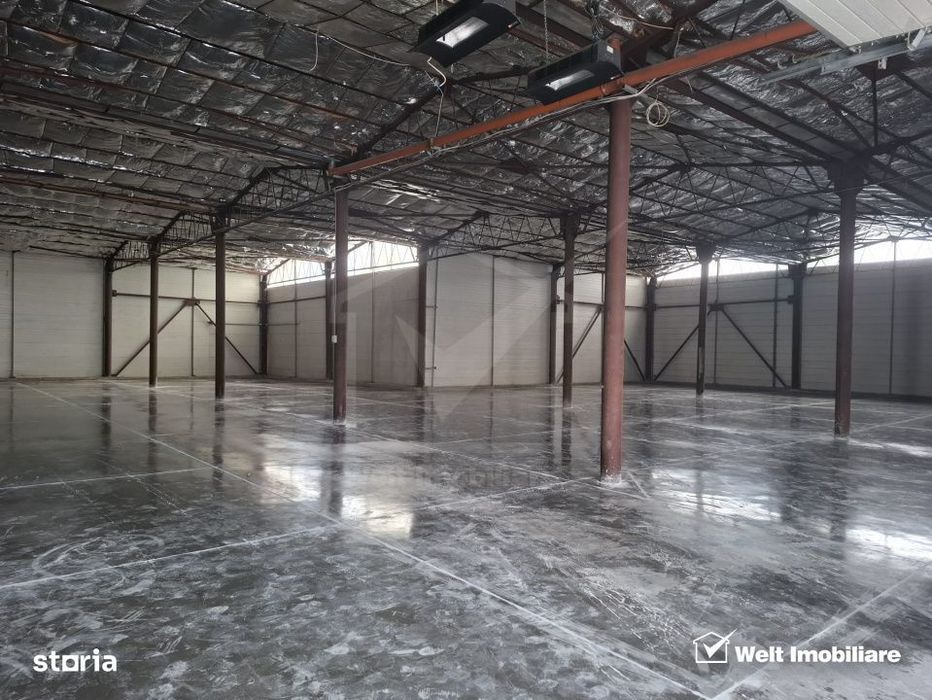 Spatiu depozitare sau productie 570 mp, renovat, zona Lidl Baciu