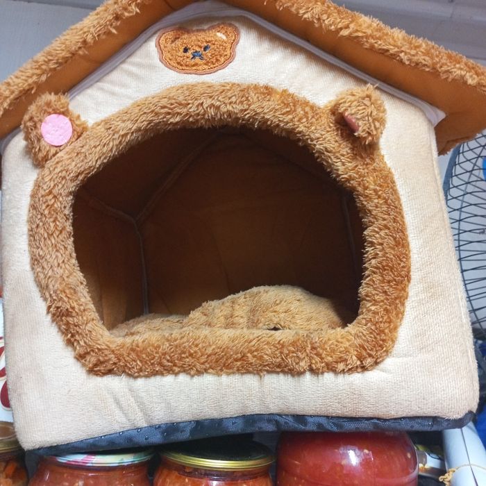 Продам домик для котят или маленькой собачки