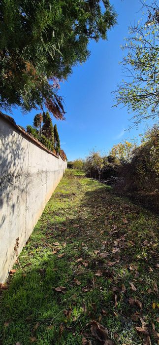 Парцел със спер локация и параметри в с.Присово.